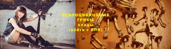 дурь Дмитровск