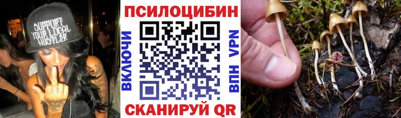 Галлюциногенные грибы MAGIC MUSHROOMS  Купить где  Полысаево 